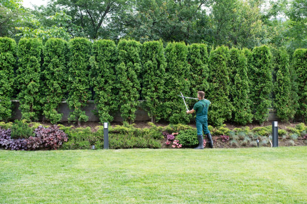 Best Soil Testing and Treatment  in Normandy Park, WA