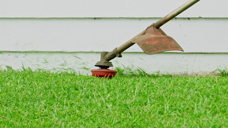 Best Lawn Pest Prevention  in Normandy Park, WA
